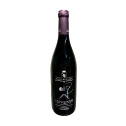 Antiche Vigne – Iuvenis Rosso IGP Calabria 2024