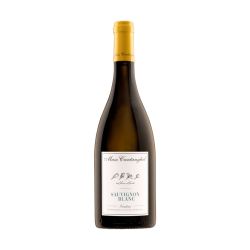 Maso Cantanghel Sauvignon 2024