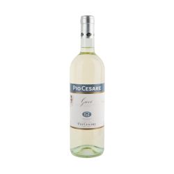 Pio Cesare Gavi 2024
