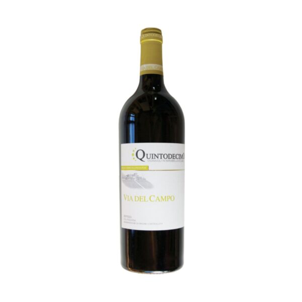 Via del Campo Falanghina Irpinia DOC 2023 – Quintodecimo